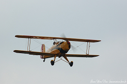 Cliquez ici pour voir l'image (dsc4302aws6.jpg)
