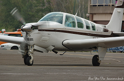 Cliquez ici pour voir l'image (dsc4338acropnb5.jpg)