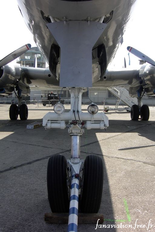 pic 2826