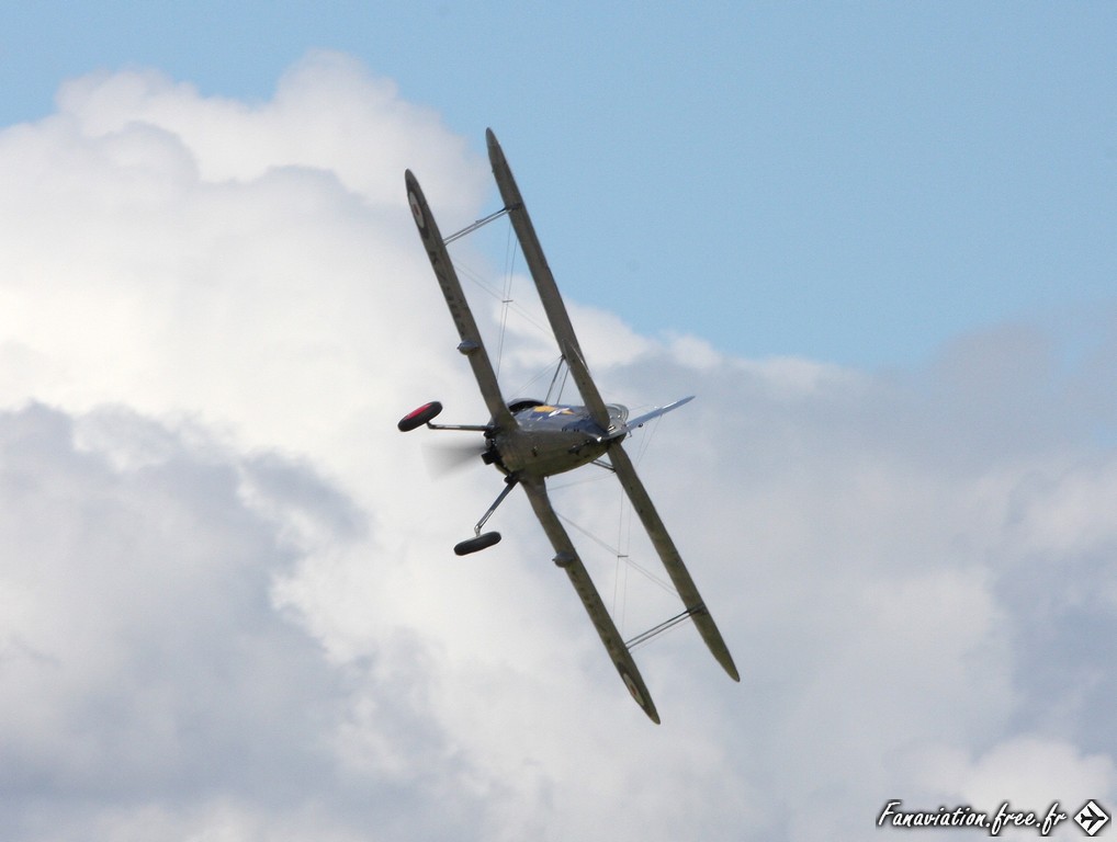 img 7721