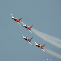 Cliquez ici pour voir l'image (dsc_1338a_crop.jpg)