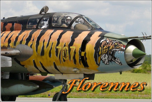 Meeting Florennes 2008